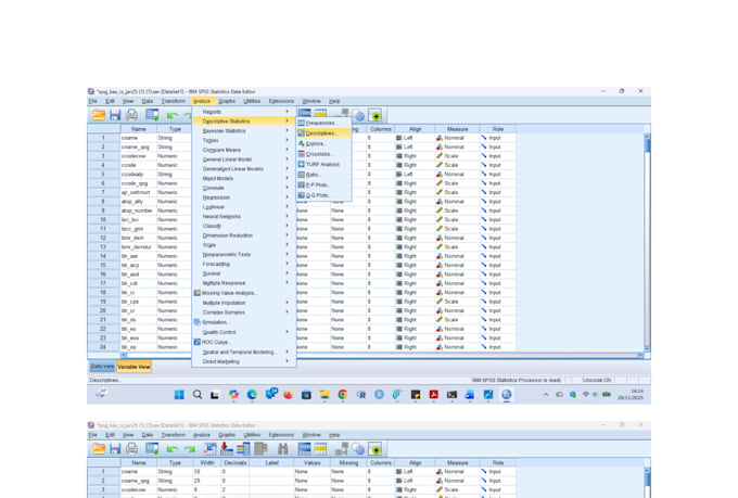 do expert analysis using spss, r, and nvivo